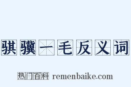 骐骥一毛反义词是什么意思的图片